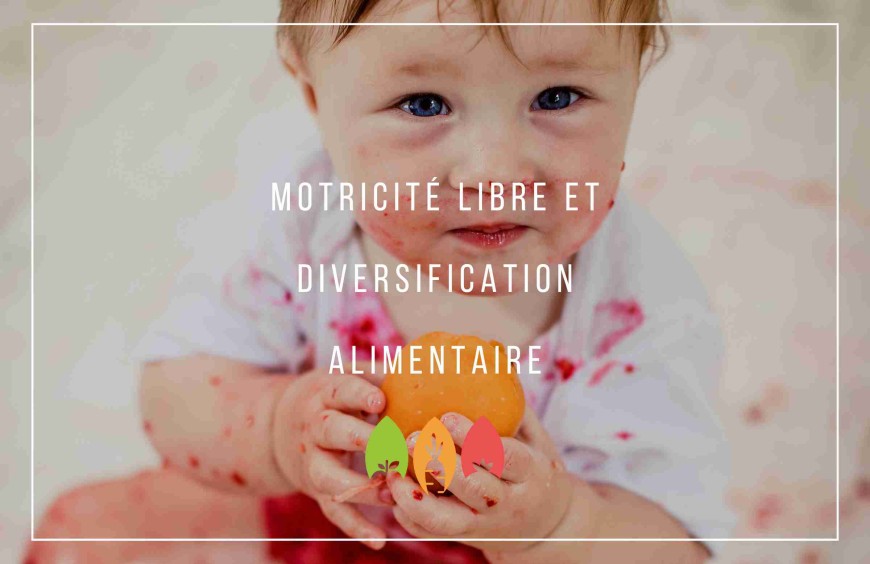 Comment aménager un espace favorisant la motricité libre des enfants?