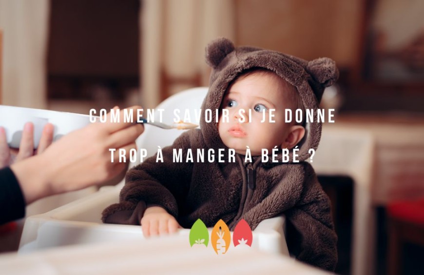 Comment savoir si je donne trop à manger à bébé ?