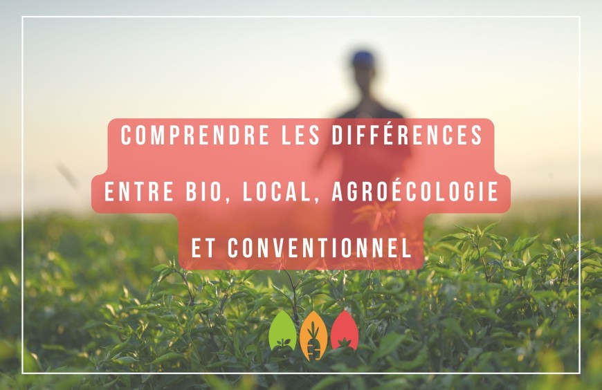 Comprendre les différences entre Agriculture Bio, Local, Agroécologie et agriculture Conventionnelle