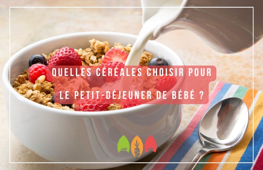 Quelles céréales choisir pour le petit-déjeuner de bébé ?